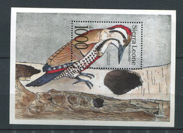 Sierra Leone ** Bloc N° 188 Oiseaux -  Pic - Sierra Leone (1961-...)