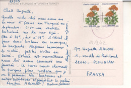 Timbres , Stamps Fleurs " Achillea Millefolium "  Sur Cp , Carte , Postcard Du 24/09/2002 - Lettres & Documents