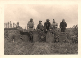 Scène De Vendanges * Thème Vin Vins Vignes Vignoble Vendangeurs Viticulteur * Photo Ancienne - Weinberge