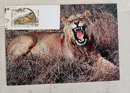 CAMEROUN Felins, LION, Carte Maximum 1 Er Jour, FDC Yvert N°348a. ( - Big Cats (cats Of Prey)