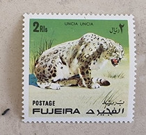 FUJEIRA Felins, Panthere Des Neiges, 1 Valeur Neuf Sans Charniere. Mnh - Felinos