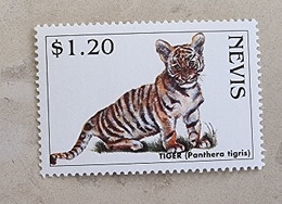 NEVIS, Felins, TIGRE Panthera Tigris, 1 Valeur Emise En 1995 Neuf Sans Charniere. Mnh - Félins