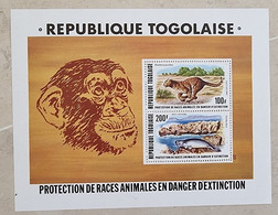 TOGO Felins, Panthere, Panthera Pardus Yvert BF 107. Neuf Sans Charnière. MNH - Felinos