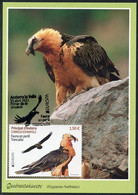 ANDORRA (2021) - Carte Maximum Card EUROPA Fauna, Gypaète, Trencalos, Quebrantahuesos, Gypaetus Barbatus Bearded Vulture - Altri