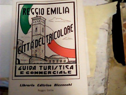 LIBRO TASCABILE1997 GUIDA  Di Reggio Nell'Emilia Città Del Tricolore   IO5823 - Turismo, Viajes