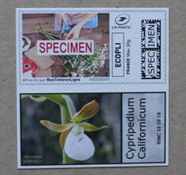 MTEL 20 : Orchidée - Cypripedium Californicum (autocollant / Autoadhésif) - Otros & Sin Clasificación