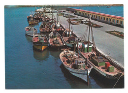 PUERTO / HARBOUR / PORT.- BENICARLO - CASTELLON.- ( ESPAÑA ) - Castellón