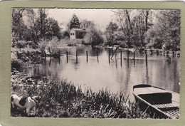 CHAMPS  BORDS DE L'EAU - Champs Sur Yonne