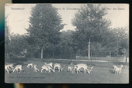 VINDERHOUTE  CHATEAU DE SCHOUWBROECK  LE PARC DES DAIMS    2 SCANS - Lovendegem