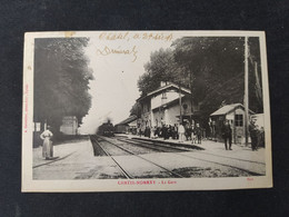 Châtel - Nomexy : La Gare, Train / Edition Boutellier - Chatel Sur Moselle