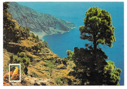 HIERRO - Islas Canarias - Las Casas - Paisaje - N° 577 - Hierro