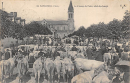 18-SANCOINS- LE CHAMP DE FOIRE CÔTE DES BŒUFS - Sancoins