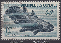 ARCHIPEL DES COMORES : 1954 - POISSON COELACANTHE N° 12 OBLITERATION LEGERE - Usados