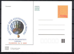 Slovaquie 2009 Entier (CDV 171) - Postcards