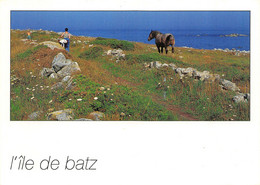 CPSM 29 ILES DE BATZ  PROMENADES COTIERES - Ile-de-Batz