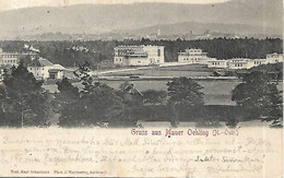 1904 - MAUER  OHLING , Gute Zustand,  2 Scan - Amstetten