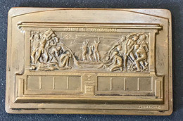 50ème Anniversaire Du  Chemin De Fer Du Bas Congo Spoorweg 1898-1948 Dupagne (superbe Médaille) - Unternehmen