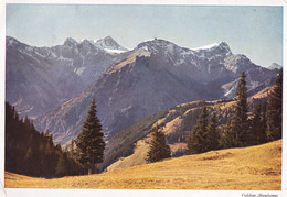 1943, Österreich / Schweiz, Scesaplana In Der Abendsonne - Brandertal