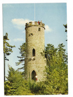 Cartolina Postale - Germania -  Buchen - Viaggiata - Buchen