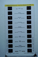 LESTRADE :    1426 B  PROVENCE  :  STES-MARIES-DE-LA-MER 2 - Visionneuses Stéréoscopiques