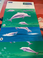 Hong Kong Stamp Cards WWF Special Chops Dolphin - Briefe U. Dokumente