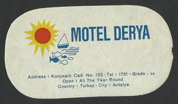 TURKEY Hotel DERYA Luggage Label - 10 X 5,5 Cm (see Sales Conditions) - Hotel Labels