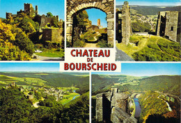 Bourscheid - Château - Multivues - Burscheid