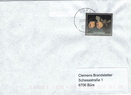 6706 Bürs Gelbe Rosen 2007 - Storia Postale