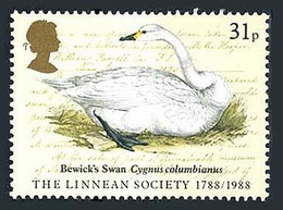 Grande Bretagne Britain Brittanien 1988 Bewick Swan Cygne Siffleur Schwan (Yvert 1295, Michel 1133, SG 1382, Scott 1203) - Unclassified