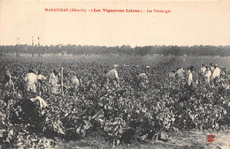 34-MARAUSSAN- LES VIGNERONS LIBRES- LES VENDANGES - Otros & Sin Clasificación