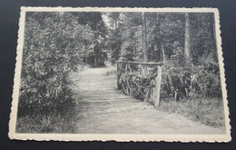 Melreux - Château Reine Pédauque - A.S.B.L. La Maison Des Métallurgistes - Domaine Du Vieux Pré - Sous Bois - Hotton