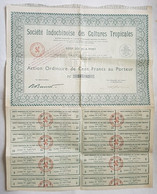 SOCIETE INDOCHINOISE DES CULTURES TROPICALES - ACTION ORDINAIRE DE 100 FR PORTEUR - COUPON - J.O 1935 - Agriculture