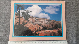 USA Zion National Park Utah East Temple Grand Format - Zion
