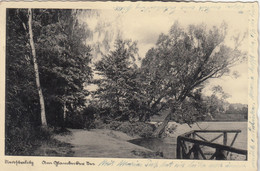 A8891) NEUSTRELITZ - Am Glambecker See - Tolle Alte AK - 16.7.1936 - Neustrelitz