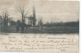Vilvorde - Vilvoorde - Etablissement D'Horticulture - Nels Serie 65 N° 13 - 1905 - Vilvoorde
