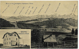 WALD: Gruss Gasthaus Zur Tanne, Aussicht Auf Alpsteingipfel 1910 - Autres & Non Classés