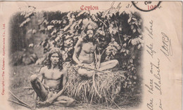 SRI LANKA (Ceylon) - Veddahs - Wild Men Of Ceylon - Vignette And Undivided Rear - 1904 - Sri Lanka (Ceylon)