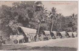 SRI LANKA (Ceylon) -  Native Transport 1908 VG Burton-on-Trent UK Postmark - Good Ship Message - Sri Lanka (Ceylon)