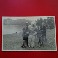 CARTE PHOTO OURS BLANC TITISEE - Orsi