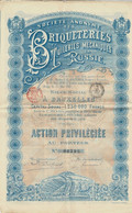 Titre De 1899  - Société Anonyme Des Briqueteries Et Tuileries Mécaniques En Russie - Déco - Russia