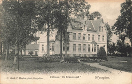 WYNEGHEM - Château "De Kraanvogel" - Carte Circulé En 1910 - Wijnegem