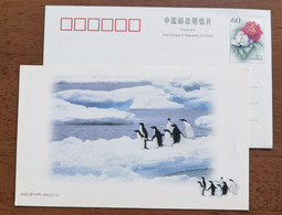 China 1999 New Year Greeting Pre-stamped Card Antarctic Penguin - Faune Antarctique