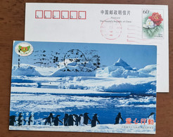 Antarctic Penguin,China 2003 Leping Disabled Persons Federation Loving Heart Advertising Pre-stamped Card - Antarktischen Tierwelt