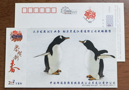 Penguin,China 2007 China CNC Group Developing ICT Business Advertising Pre-stamped Card - Fauna Antártica