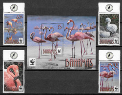Bahamas 2012 MiNr. 1443 - 1450 (Block 118) WWF BIRDS American Flamingo 4v +1  MNH** 14,00 € - Bahamas (1973-...)