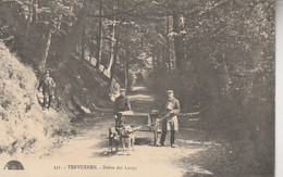 Tervueren  , Tervuren ,  Drève Des Loups ( Attelage De Chiens  Charette à Chien Bruxelles (édit Henri Georges  ,n° 531 ) - Tervuren