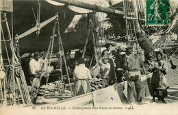 La Rochelle * Le Déchargement D'un Bateau De Morues * Pêche Pêcheurs - La Rochelle