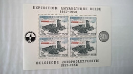 BL31** Zuidpoolexpeditie. - Blocks & Sheetlets 1924-1960