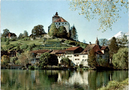 Schloß Und Städtchen Werdenberg Bei Buchs Mit Säntisgruppe (1) (b) - Buchs