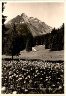 Alpenflora Bei Kurhaus Voralp, Grabs (1305) * 8. 9. 1955 - Grabs